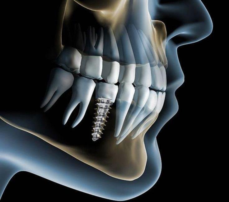 WhatsApp Image 2025-05-23 at 11.08.51 AM